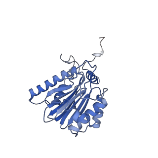 12341_7nht_D_v1-2
Akirin2 bound human proteasome