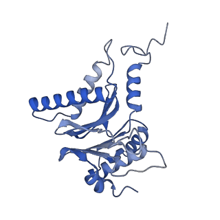 12341_7nht_E_v1-2
Akirin2 bound human proteasome