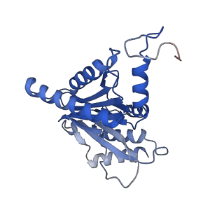 12341_7nht_F_v1-2
Akirin2 bound human proteasome