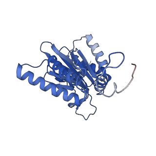 12341_7nht_G_v1-2
Akirin2 bound human proteasome