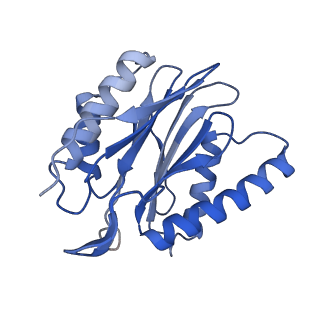 12341_7nht_I_v1-2
Akirin2 bound human proteasome