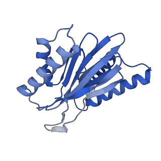 12341_7nht_J_v1-2
Akirin2 bound human proteasome