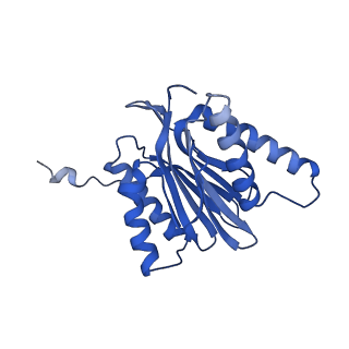 12341_7nht_M_v1-2
Akirin2 bound human proteasome