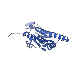 12341_7nht_N_v1-2
Akirin2 bound human proteasome