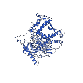 12342_7nhx_A_v1-1
1918 H1N1 Viral influenza polymerase heterotrimer - full transcriptase (Class1)