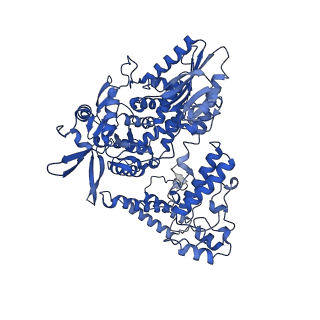 12342_7nhx_B_v1-1
1918 H1N1 Viral influenza polymerase heterotrimer - full transcriptase (Class1)