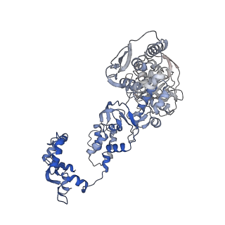 12342_7nhx_C_v1-1
1918 H1N1 Viral influenza polymerase heterotrimer - full transcriptase (Class1)