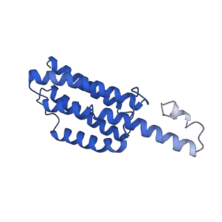 9373_6nht_A_v1-2
Single particle reconstruction of the symmetric core an engineered protein scaffold