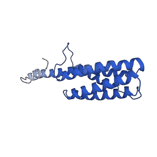 9373_6nht_B_v1-1
Single particle reconstruction of the symmetric core an engineered protein scaffold