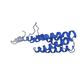 9373_6nht_B_v1-2
Single particle reconstruction of the symmetric core an engineered protein scaffold