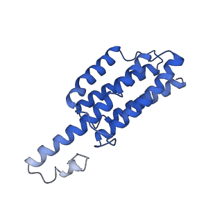 9373_6nht_C_v1-2
Single particle reconstruction of the symmetric core an engineered protein scaffold