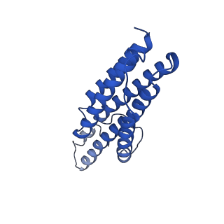 9373_6nht_D_v1-1
Single particle reconstruction of the symmetric core an engineered protein scaffold