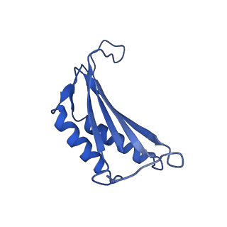 9373_6nht_E_v1-2
Single particle reconstruction of the symmetric core an engineered protein scaffold