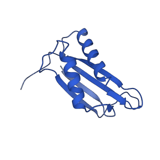 9373_6nht_F_v1-1
Single particle reconstruction of the symmetric core an engineered protein scaffold