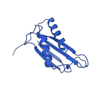 9373_6nht_F_v1-2
Single particle reconstruction of the symmetric core an engineered protein scaffold