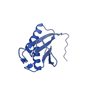 9373_6nht_G_v1-1
Single particle reconstruction of the symmetric core an engineered protein scaffold