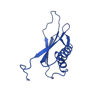 9373_6nht_H_v1-2
Single particle reconstruction of the symmetric core an engineered protein scaffold