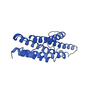 9373_6nht_I_v1-2
Single particle reconstruction of the symmetric core an engineered protein scaffold