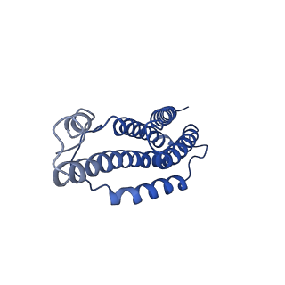 9373_6nht_J_v1-2
Single particle reconstruction of the symmetric core an engineered protein scaffold