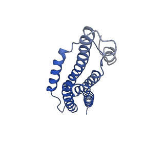 9373_6nht_K_v1-1
Single particle reconstruction of the symmetric core an engineered protein scaffold