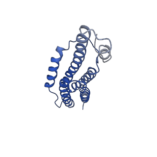 9373_6nht_K_v1-2
Single particle reconstruction of the symmetric core an engineered protein scaffold