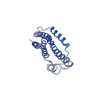 9373_6nht_L_v1-1
Single particle reconstruction of the symmetric core an engineered protein scaffold