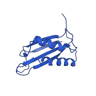 9373_6nht_M_v1-2
Single particle reconstruction of the symmetric core an engineered protein scaffold