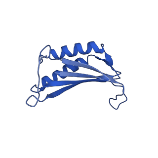 9373_6nht_N_v1-2
Single particle reconstruction of the symmetric core an engineered protein scaffold