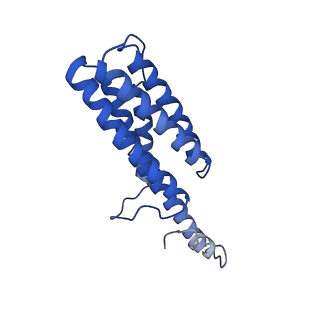 9373_6nht_Q_v1-1
Single particle reconstruction of the symmetric core an engineered protein scaffold