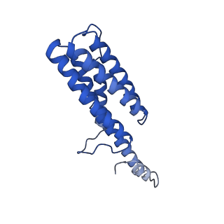 9373_6nht_Q_v1-2
Single particle reconstruction of the symmetric core an engineered protein scaffold