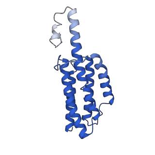 9373_6nht_R_v1-2
Single particle reconstruction of the symmetric core an engineered protein scaffold