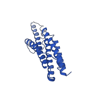 9373_6nht_S_v1-2
Single particle reconstruction of the symmetric core an engineered protein scaffold