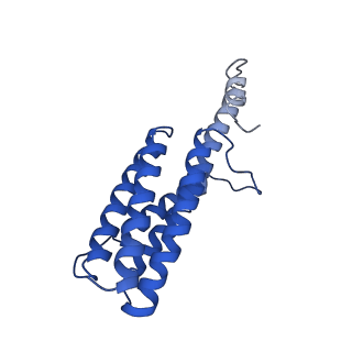 9373_6nht_T_v1-1
Single particle reconstruction of the symmetric core an engineered protein scaffold