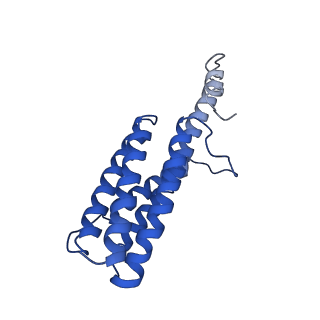 9373_6nht_T_v1-2
Single particle reconstruction of the symmetric core an engineered protein scaffold