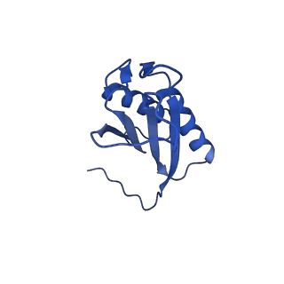 9373_6nht_U_v1-2
Single particle reconstruction of the symmetric core an engineered protein scaffold