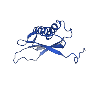 9373_6nht_W_v1-2
Single particle reconstruction of the symmetric core an engineered protein scaffold