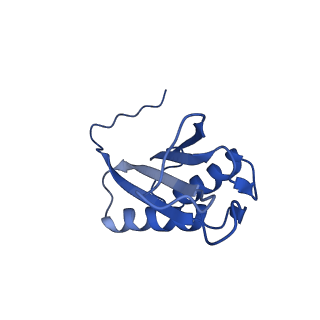 9373_6nht_X_v1-1
Single particle reconstruction of the symmetric core an engineered protein scaffold