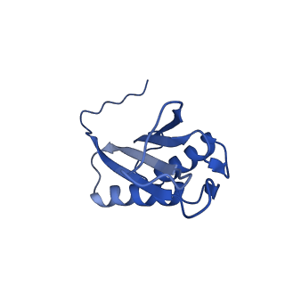 9373_6nht_X_v1-2
Single particle reconstruction of the symmetric core an engineered protein scaffold