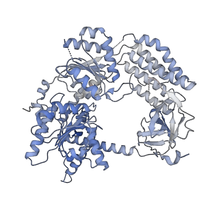 12288_7niq_B_v1-1
CryoEM structure of disease related M854K MDA5-dsRNA filament in complex with ADP-AlF4(Major class)
