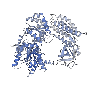 12294_7nic_A_v1-1
CryoEM structure of disease related M854K MDA5-dsRNA filament in complex with ADP-AlF4(minor class)