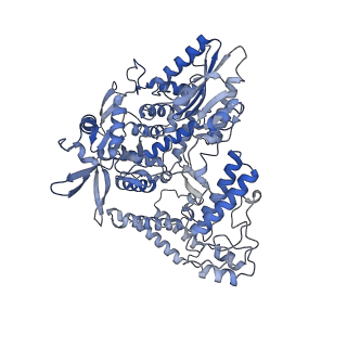 12348_7ni0_B_v1-1
1918 H1N1 Viral influenza polymerase heterotrimer - Replicase (class 3)