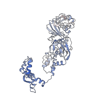 12348_7ni0_C_v1-1
1918 H1N1 Viral influenza polymerase heterotrimer - Replicase (class 3)