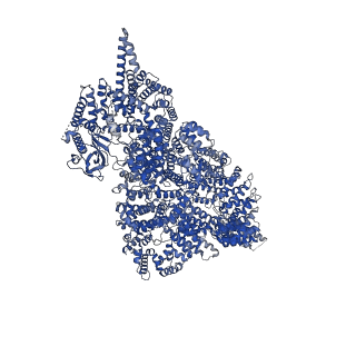 12351_7ni5_A_v1-2
Human ATM kinase with bound inhibitor KU-55933