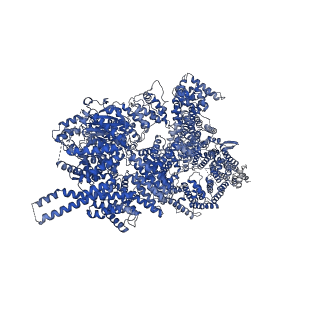 12351_7ni5_B_v1-2
Human ATM kinase with bound inhibitor KU-55933