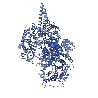 12352_7ni6_A_v1-2
Human ATM kinase with bound ATPyS