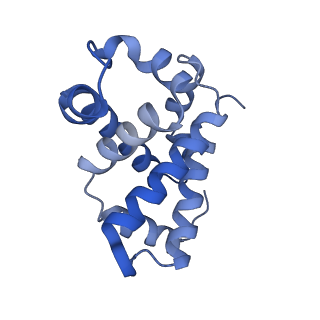 3488_5ni1_B_v1-2
CryoEM structure of haemoglobin at 3.2 A determined with the Volta phase plate