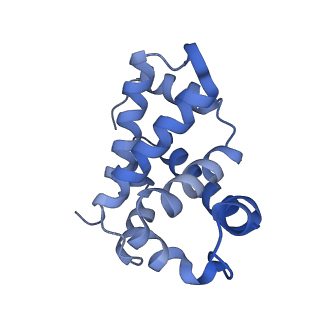 3488_5ni1_D_v1-2
CryoEM structure of haemoglobin at 3.2 A determined with the Volta phase plate