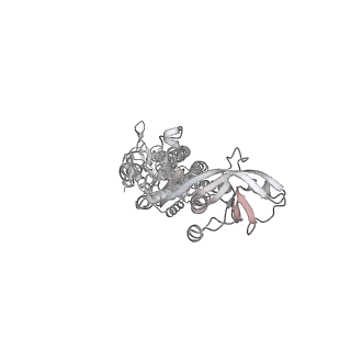 3652_5nik_K_v1-1
Structure of the MacAB-TolC ABC-type tripartite multidrug efflux pump
