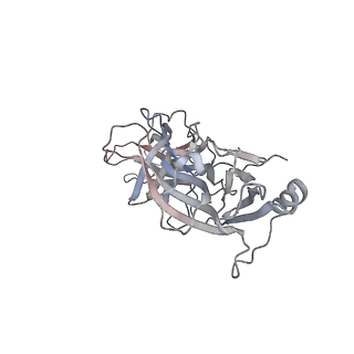 9375_6ni2_B_v1-2
Stabilized beta-arrestin 1-V2T subcomplex of a GPCR-G protein-beta-arrestin mega-complex
