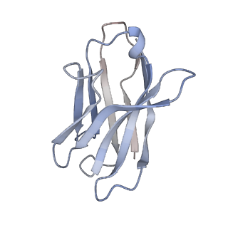 9375_6ni2_H_v1-2
Stabilized beta-arrestin 1-V2T subcomplex of a GPCR-G protein-beta-arrestin mega-complex